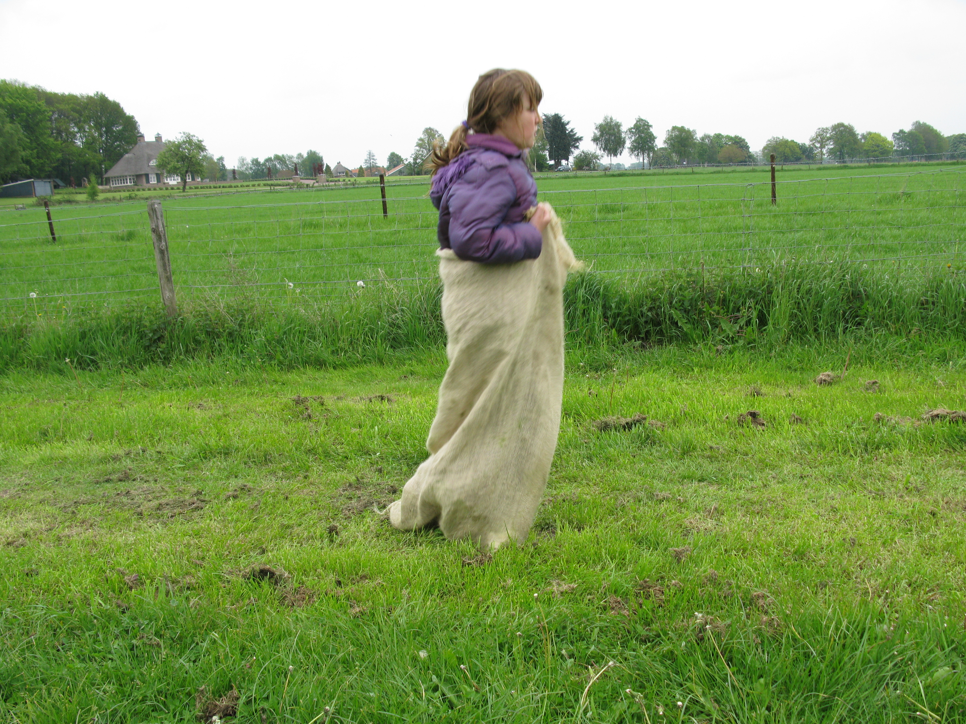 HWK2010 210.jpg